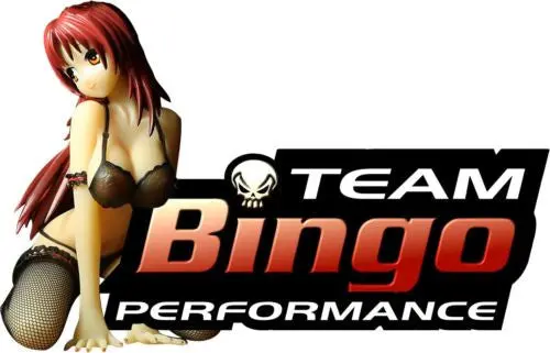 Team Bingo Performance Sticker Small & Medium Drift Drag Jdm Gtr Nissan Honda Evo Silvia 1