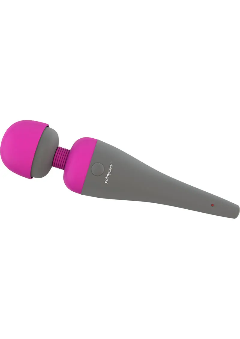 Palm Power Massager 1