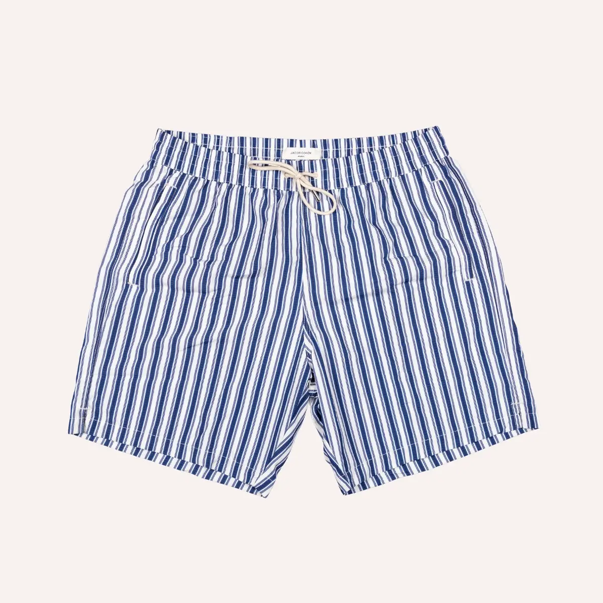 Blue & White Striped Swim Shorts 1
