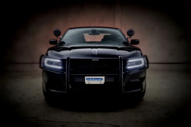 Wraps/Brush Guards: Dodge Charger 2015-2020 2