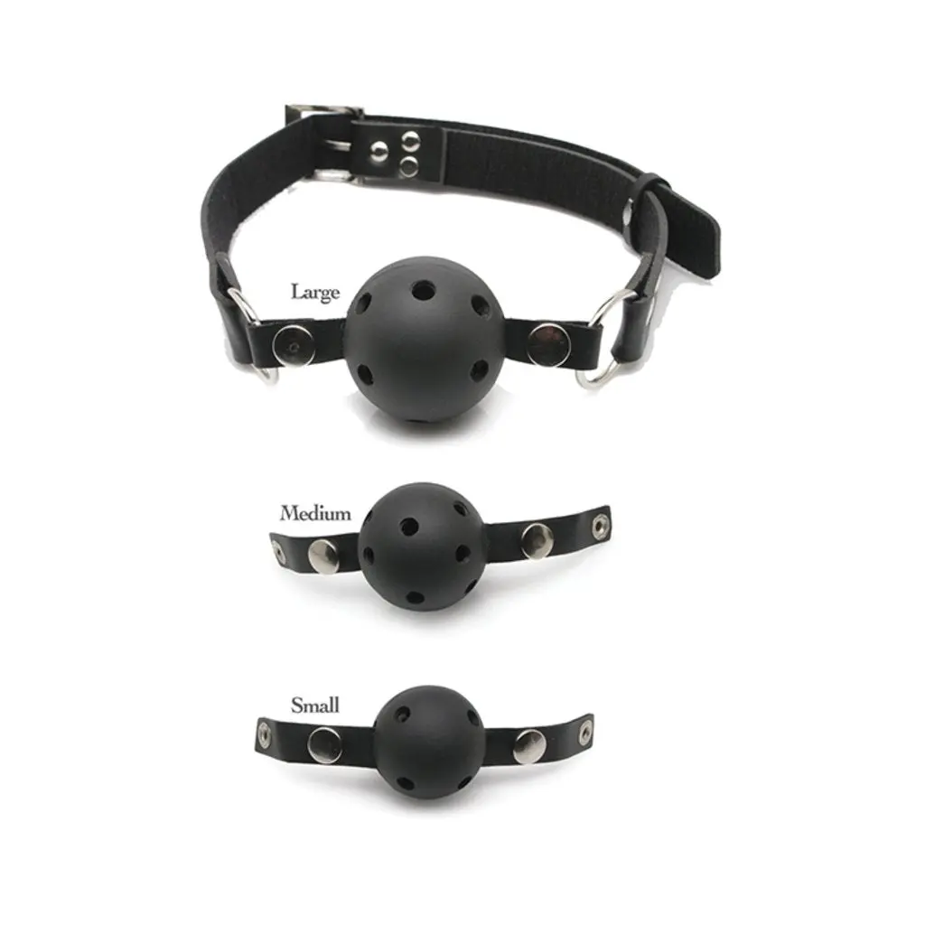 Fetish Fantasy Series Ball Gag Training Kit 1