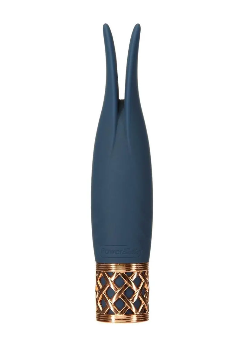 Pillow Talk Secrets Playful Rechargeable Silicone Massager - Blue/Rose Gold 1