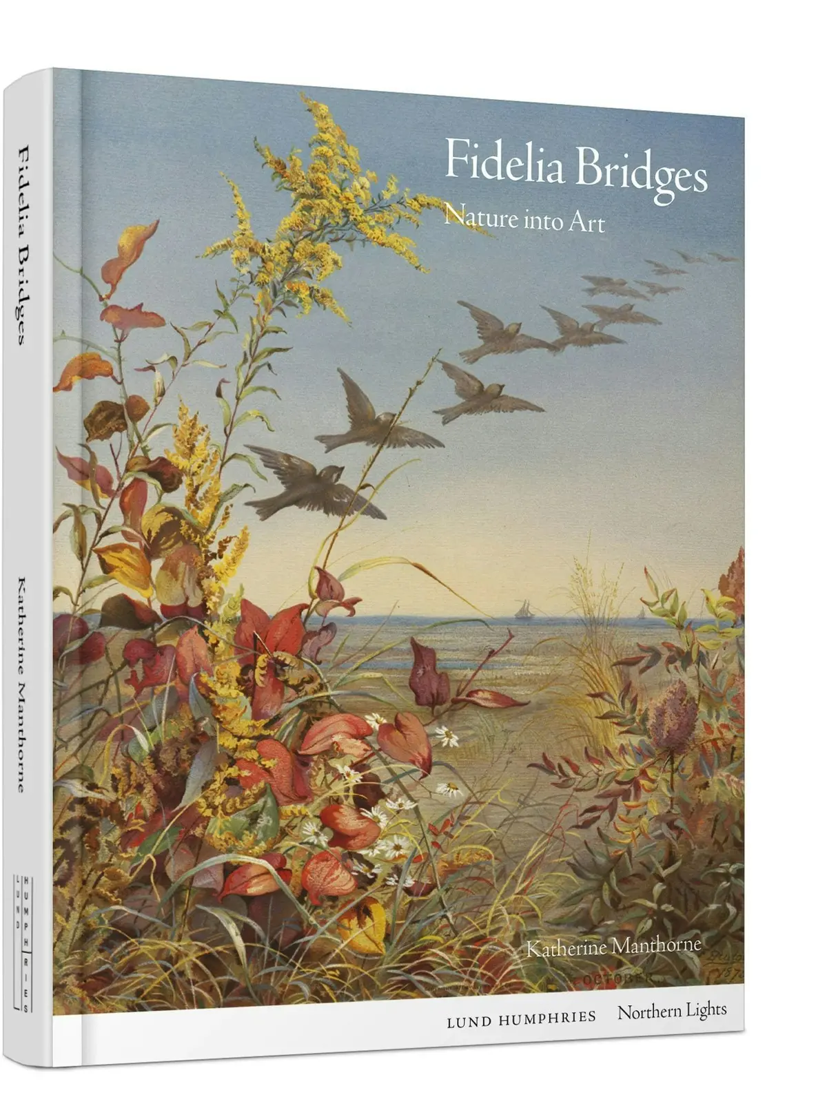 Fidelia Bridges 1