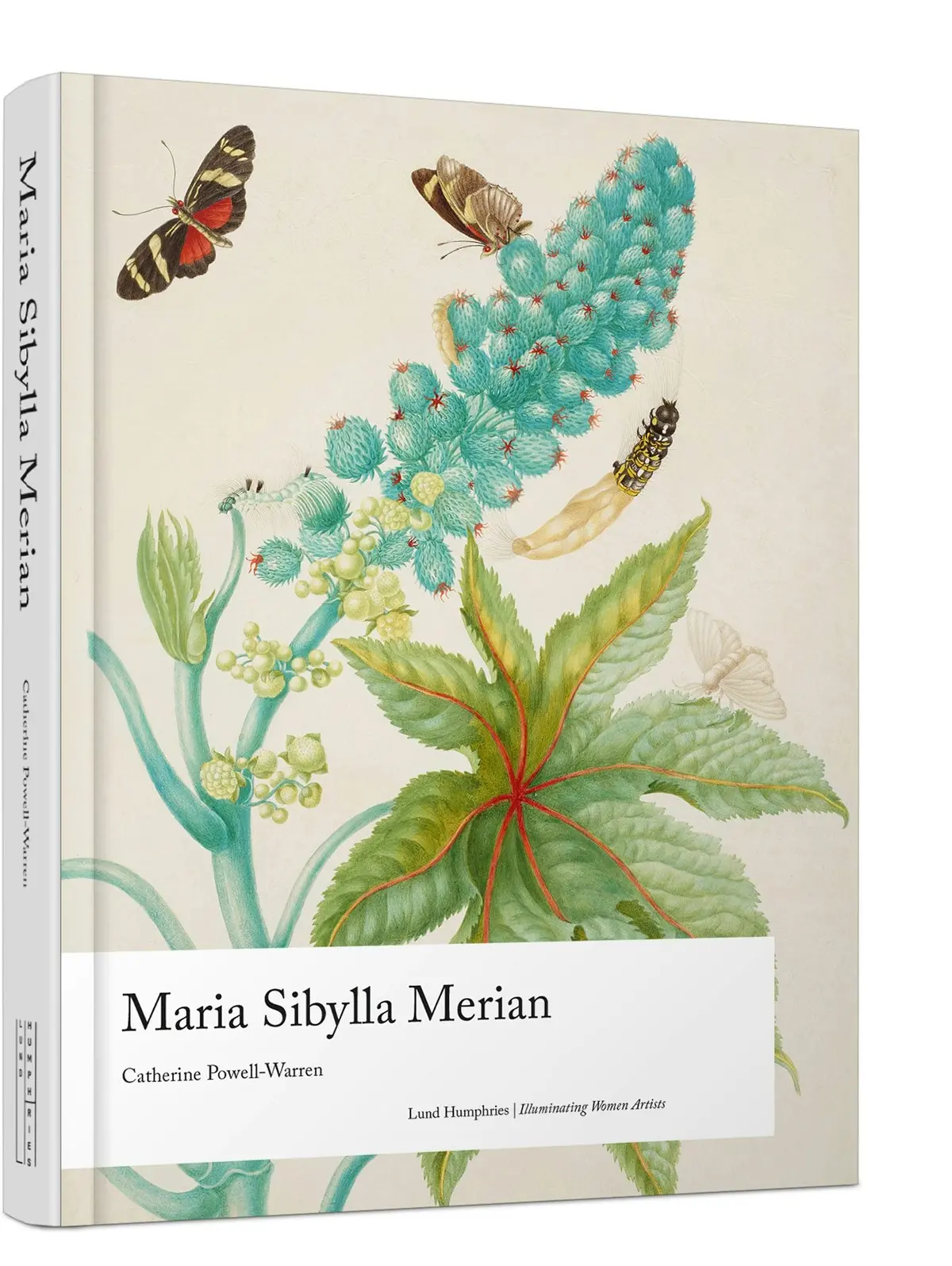 Maria Sibylla Merian 1