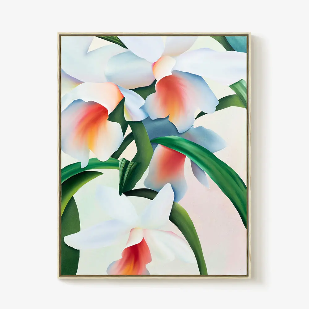 An Orchid Dreaming 1