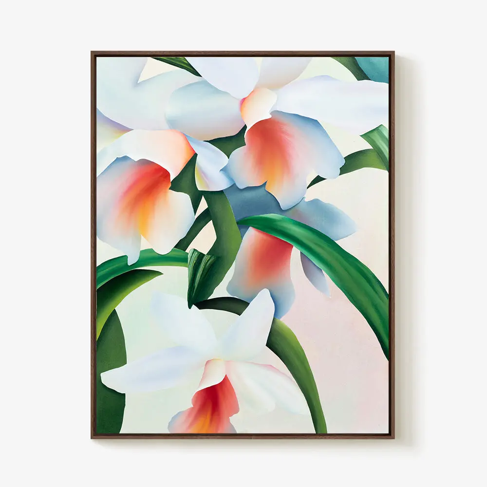 An Orchid Dreaming 3