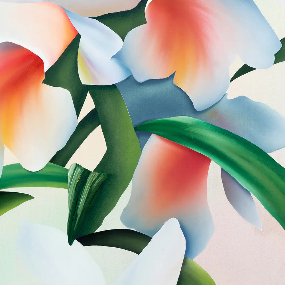 An Orchid Dreaming 3