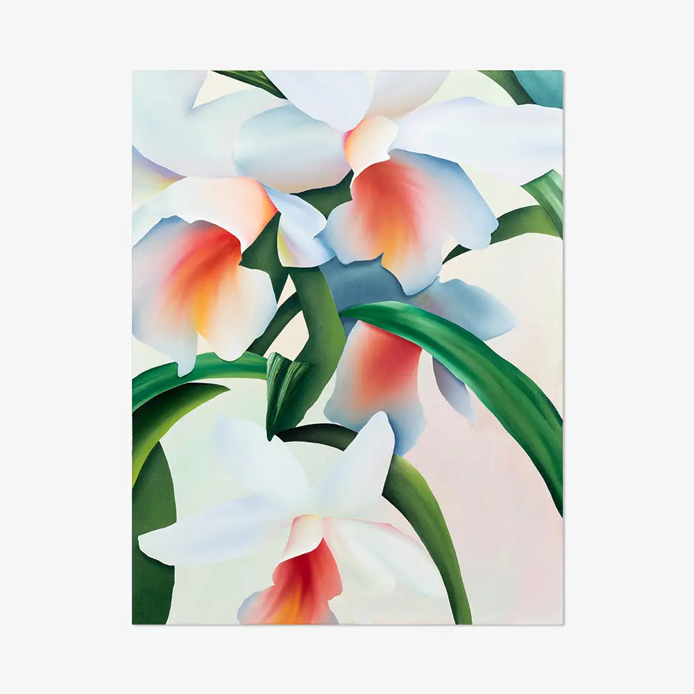 An Orchid Dreaming 4