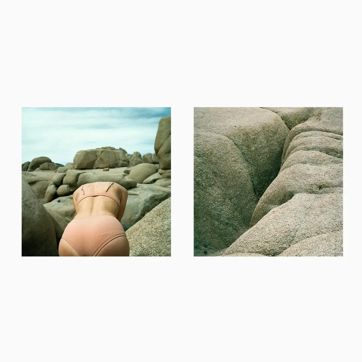 Sois Belle 2.8 + 2.9 - 31.5 X 31.5 Inches 1