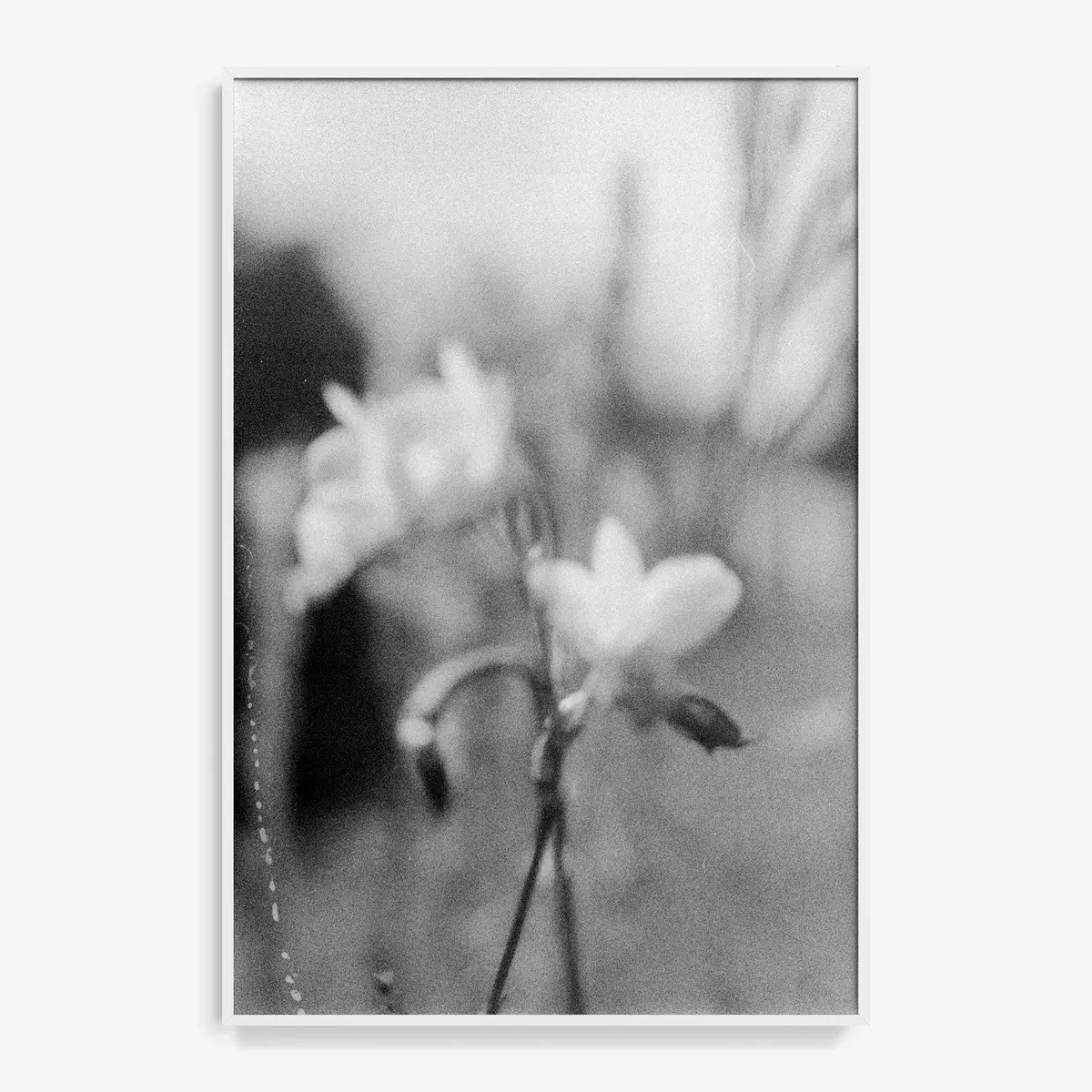 A Kiss To You Towards The Setting Sun 29 20