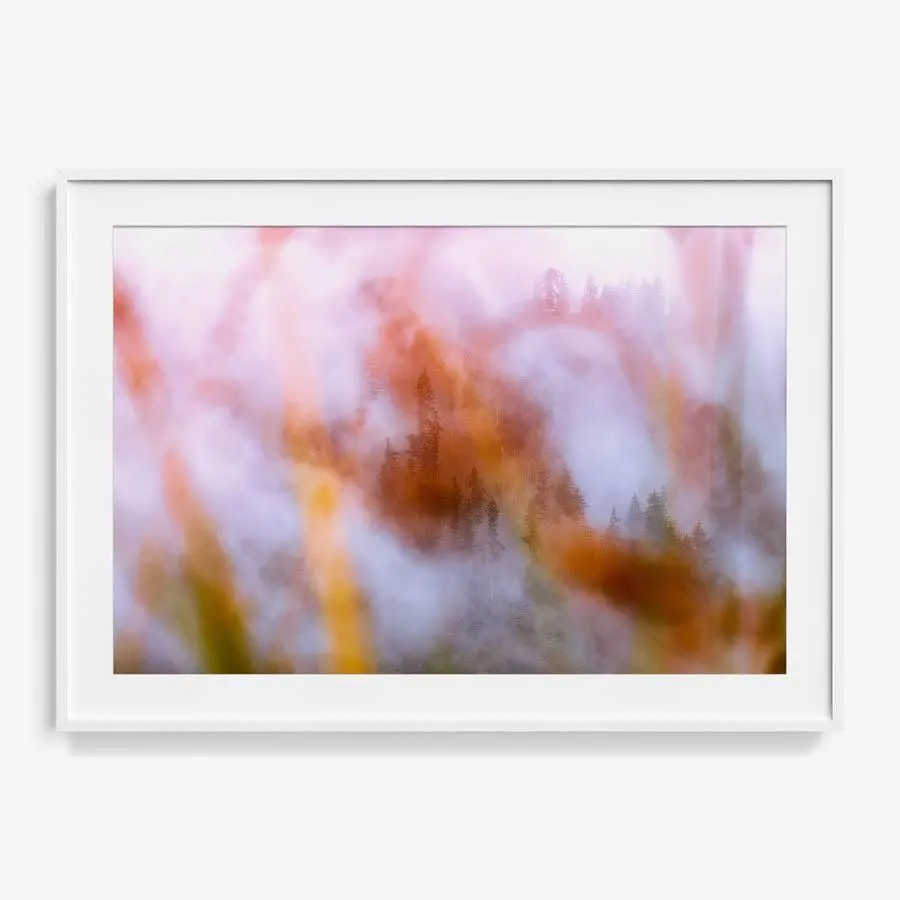 Inner Weather 12 15
