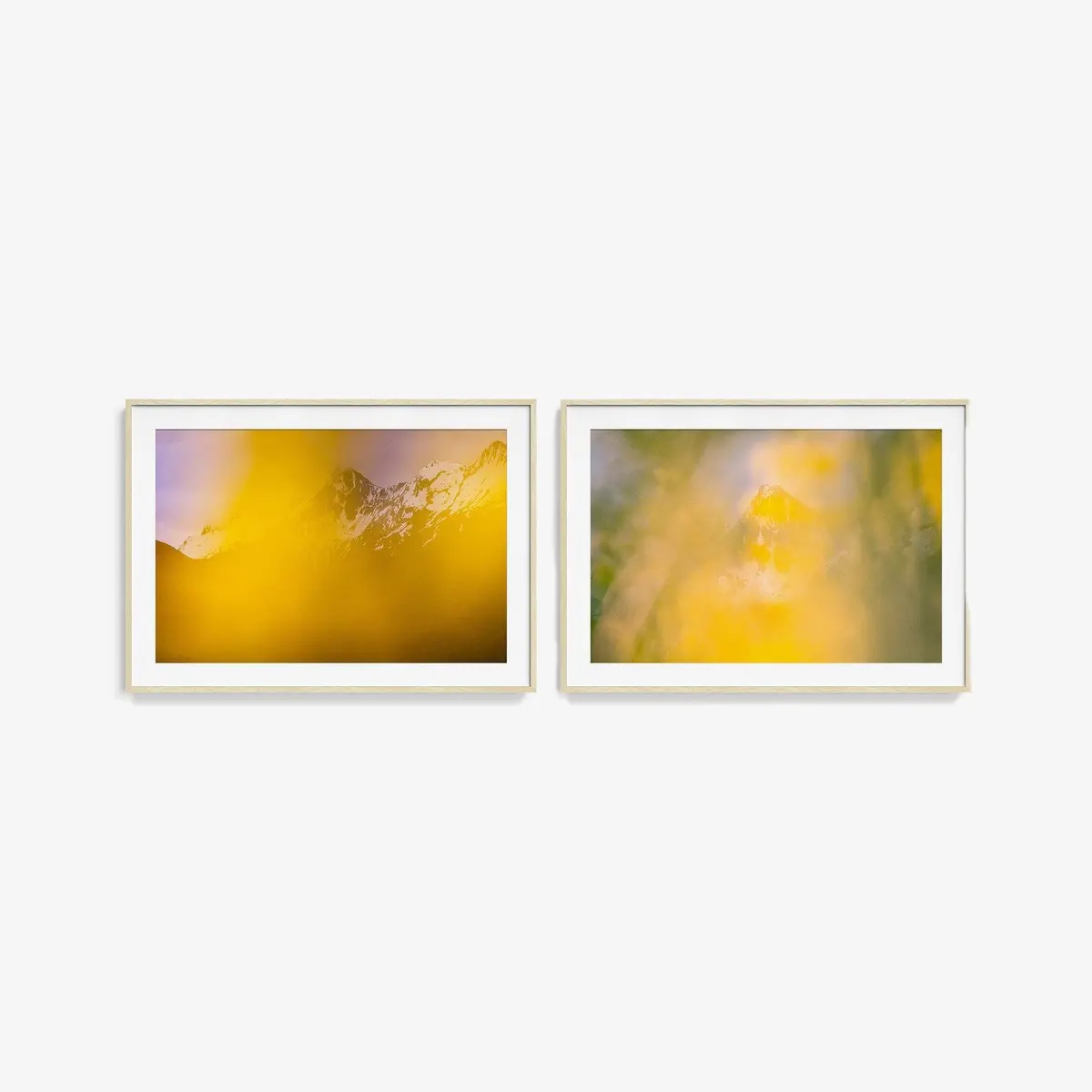 Thermal Explorer, Forgotten World Diptych I 20