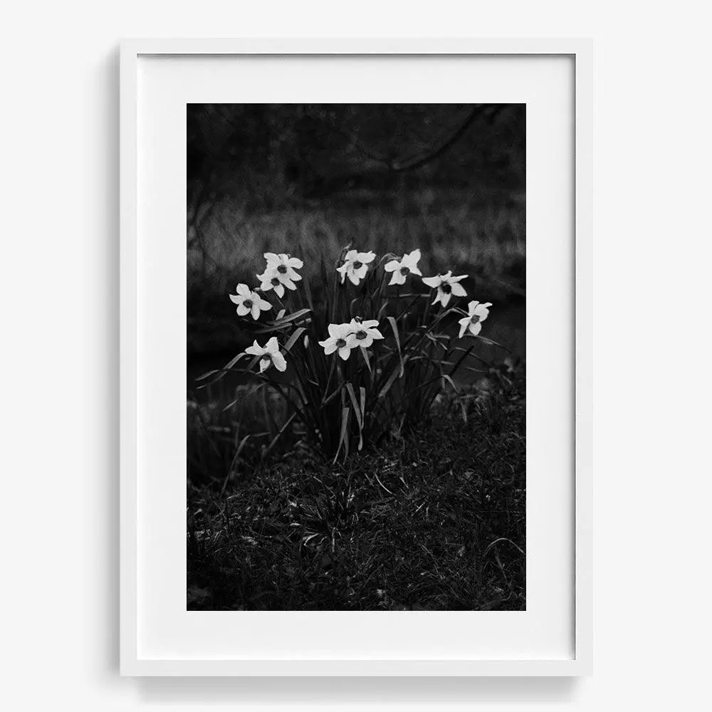The First Spring 1