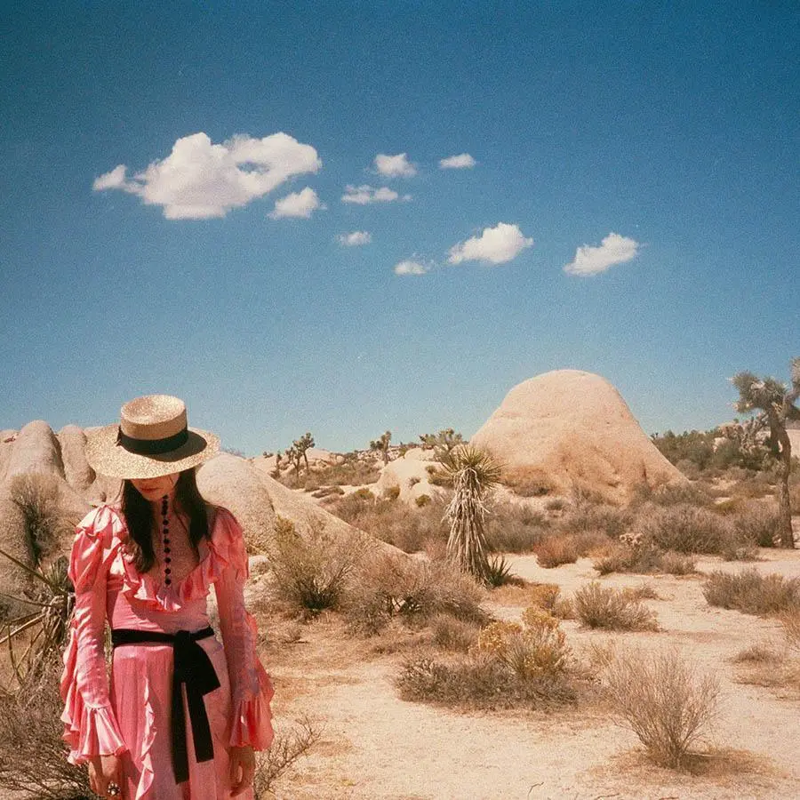 Untitled Iv (Joshua Tree) 3