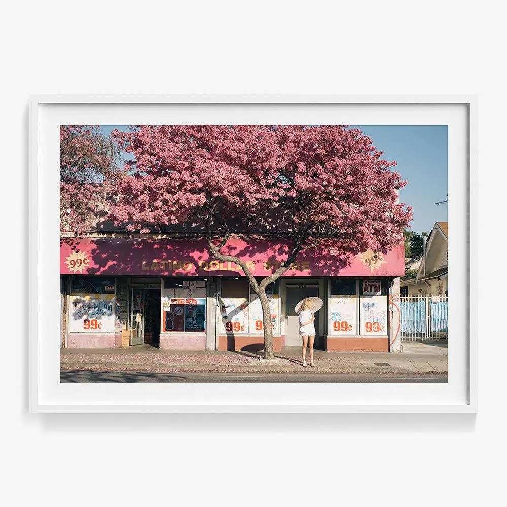 Handroanthus Impetiginosus In Bloom 1