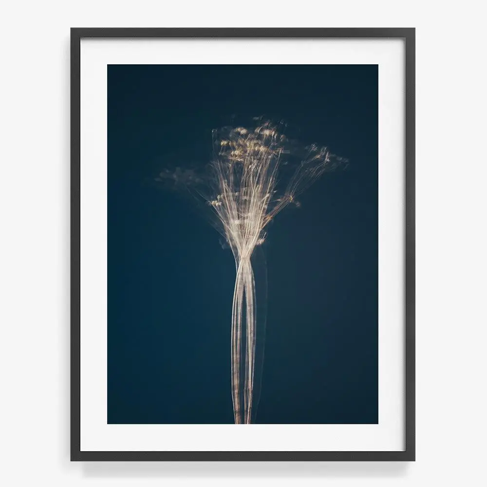 In Search of the Present: Issue 7
