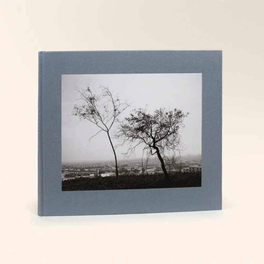 Robert Adams: Los Angeles Spring 1