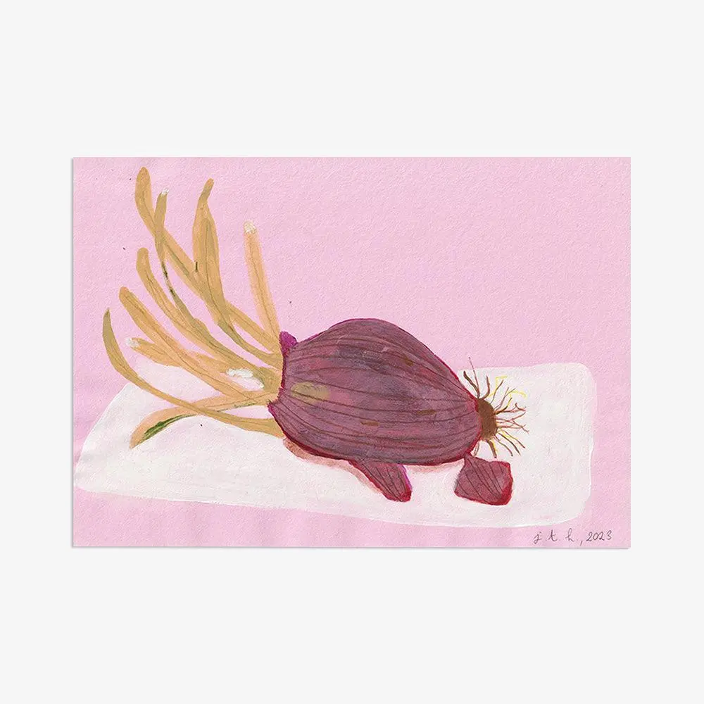 L’Alsace Et Les Oignons Rouges Du Jardin 1