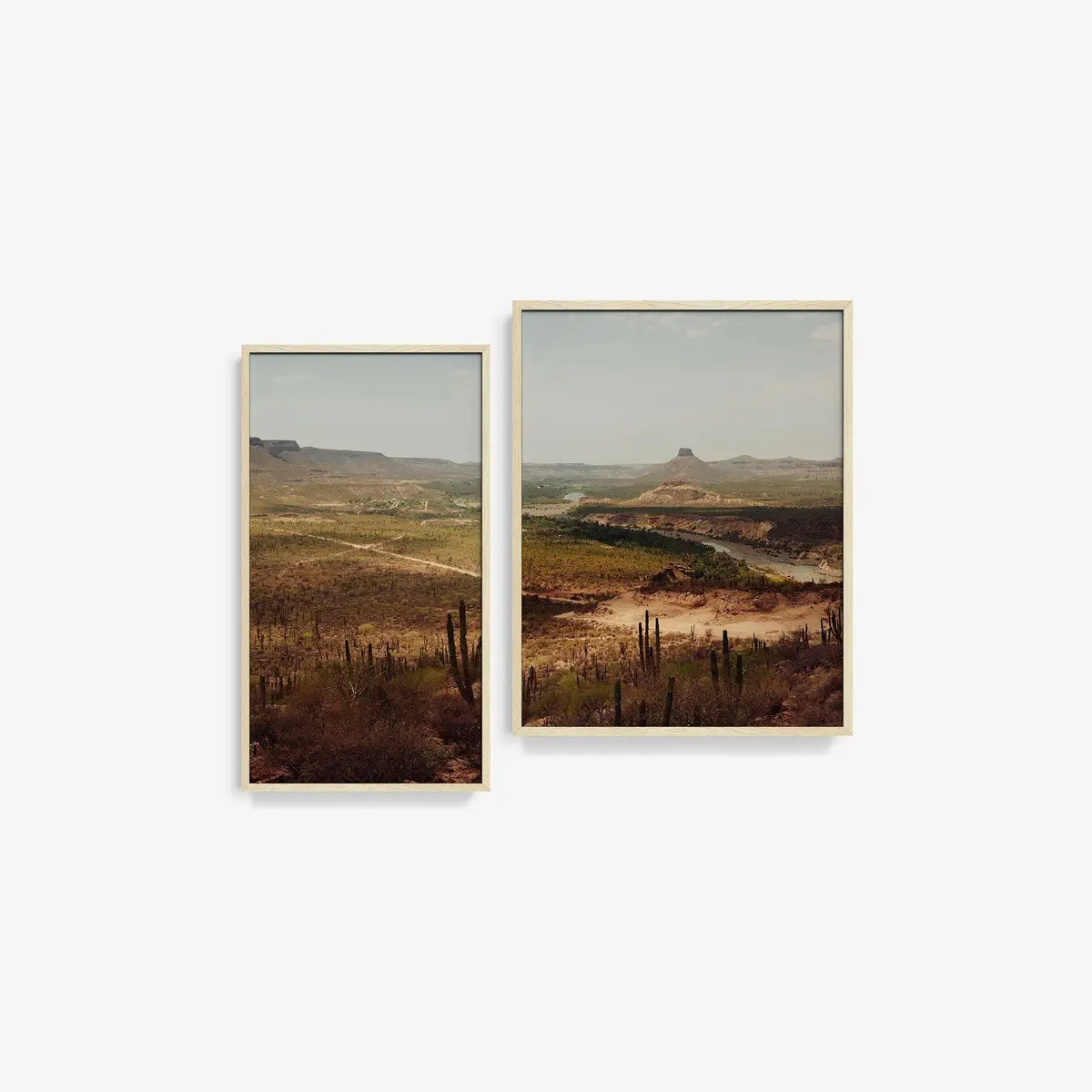 Vizcaino Desert Diptych 12