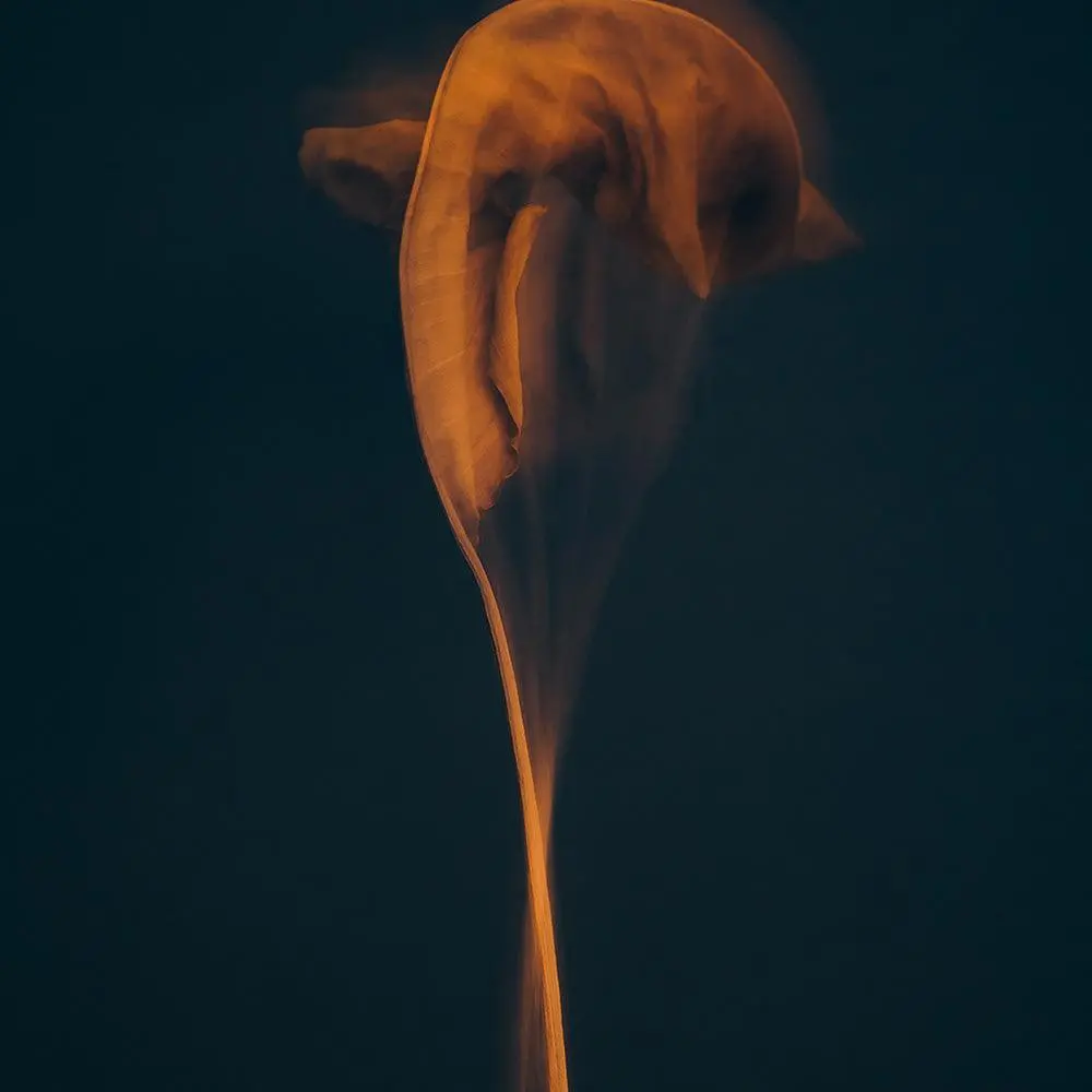 Metamorphosis 01 3