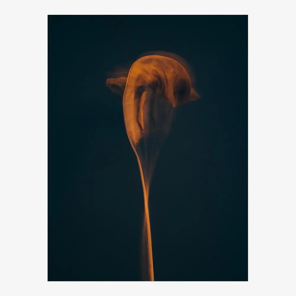 Metamorphosis 01 9