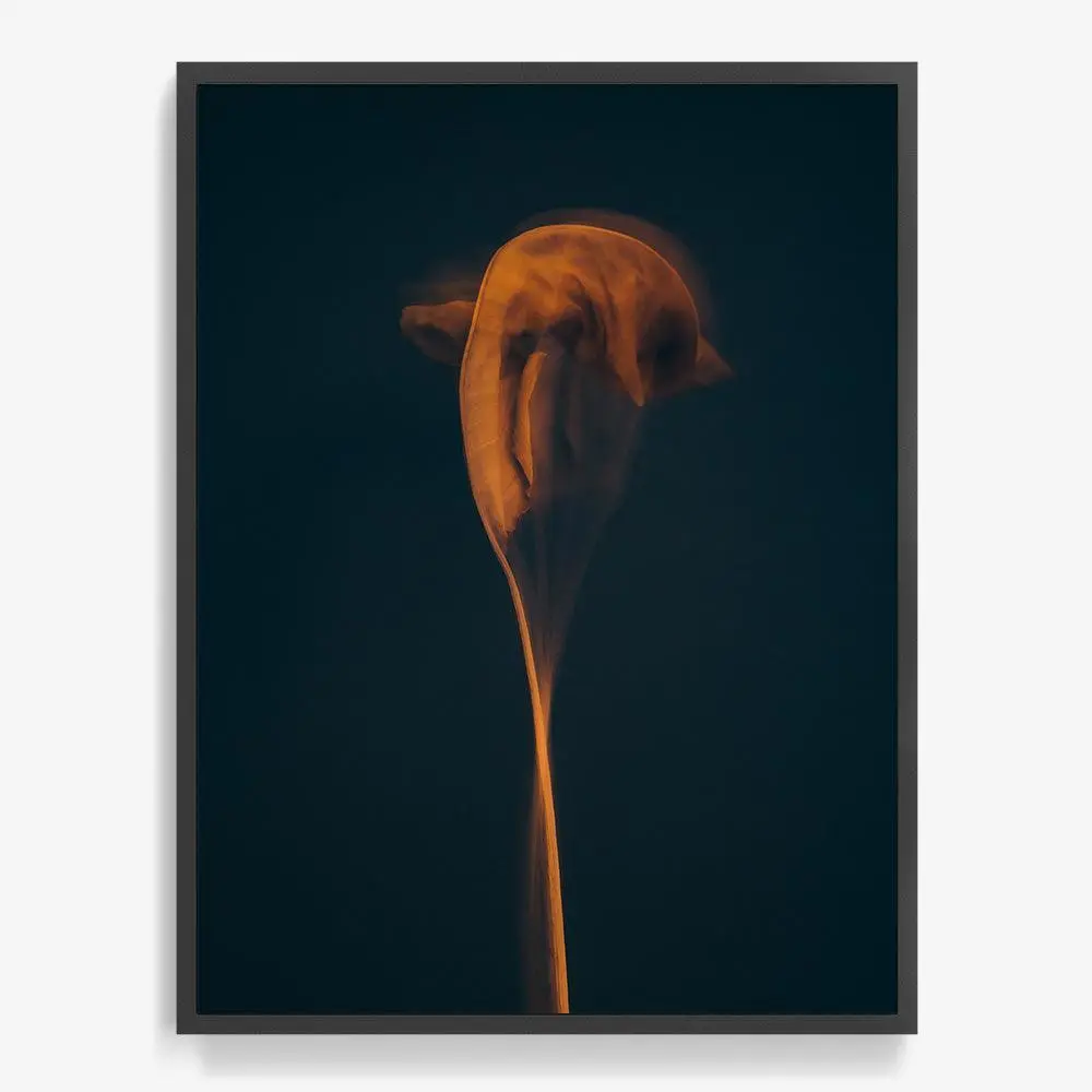 Metamorphosis 01 20