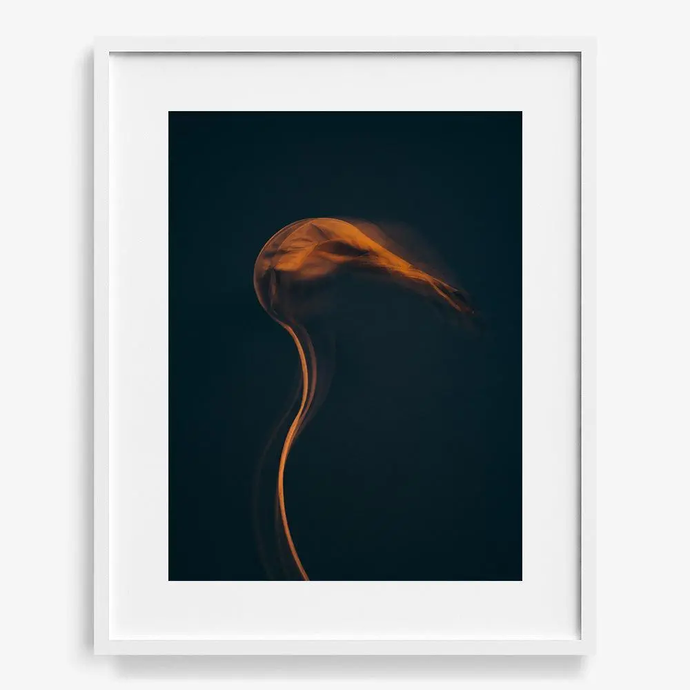 Metamorphosis 05 27