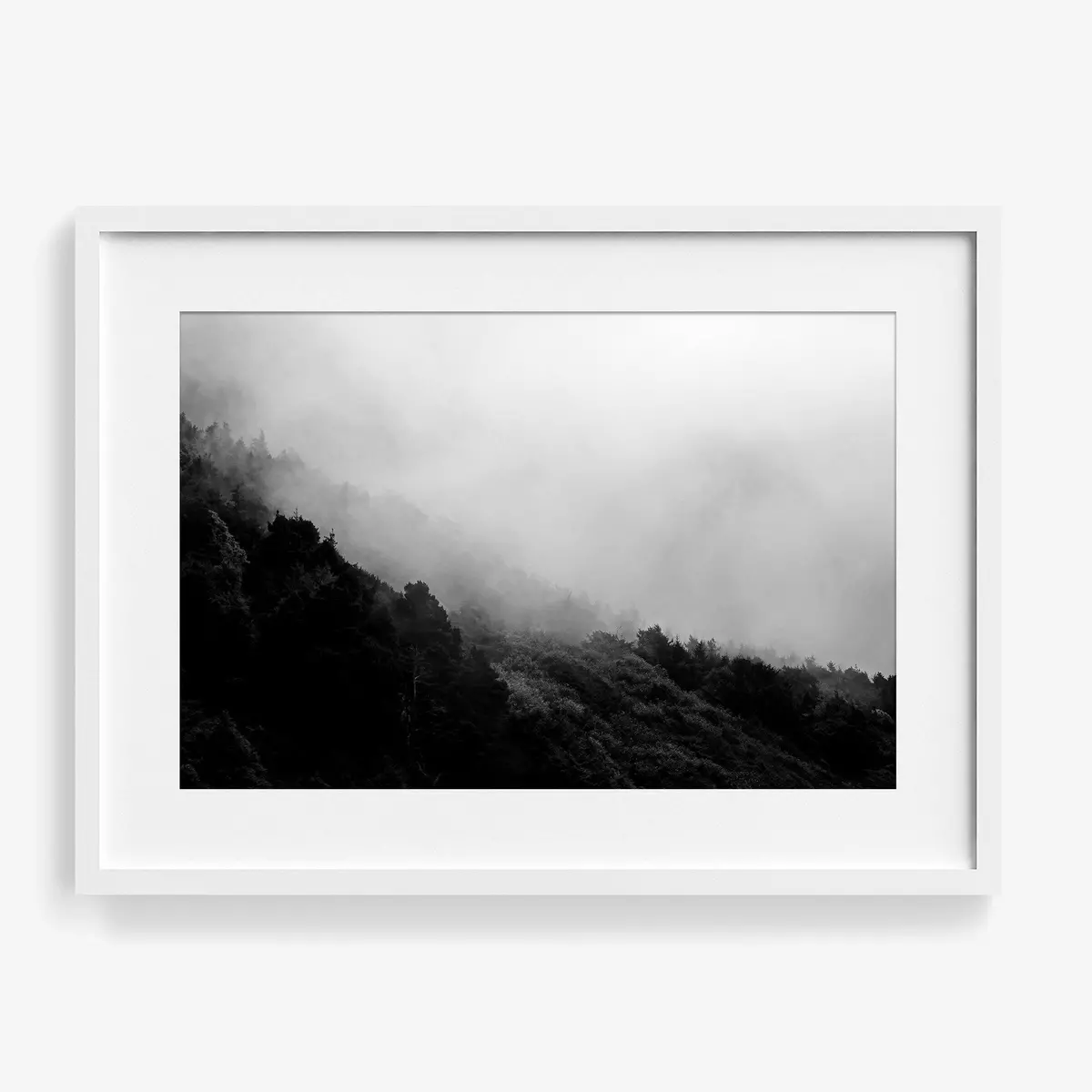 Misty Mountains 1
