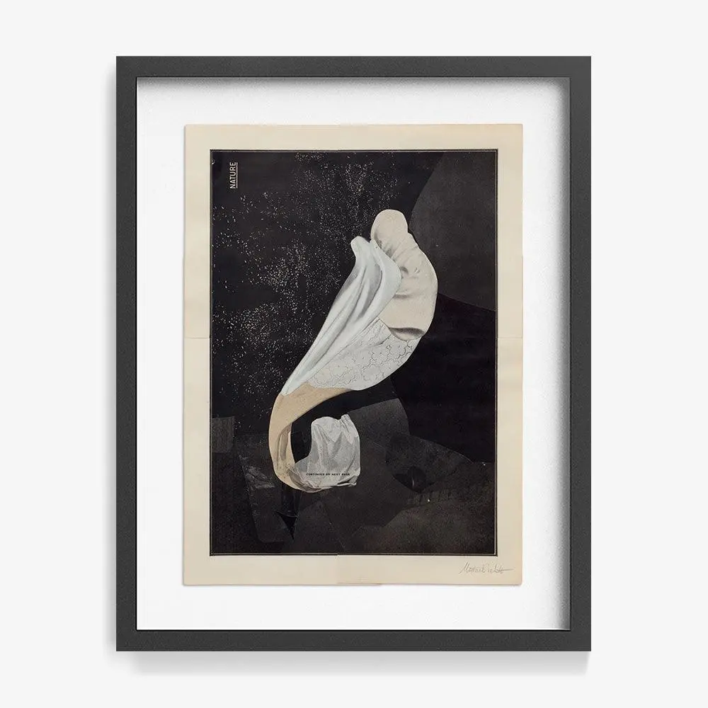 Movement Study In Greyscale #19 1