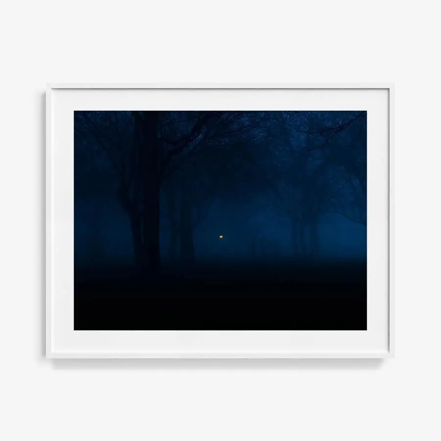Untitled (Night Forest) 16