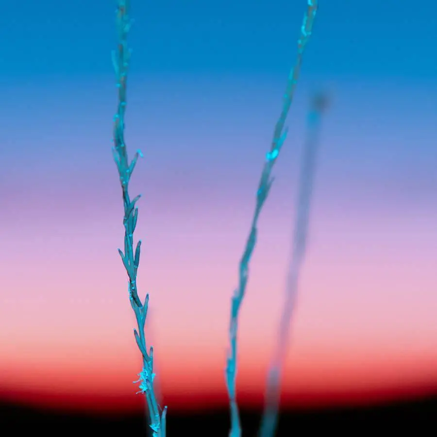 Untitled (Ojai 2) 2