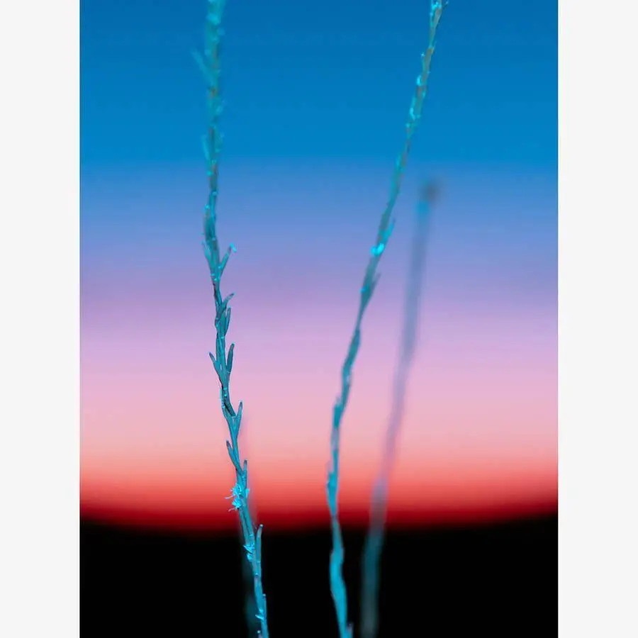 Untitled (Ojai 2) 3
