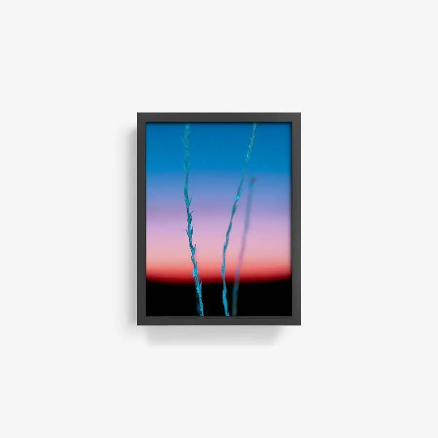 Untitled (Ojai 2) 6