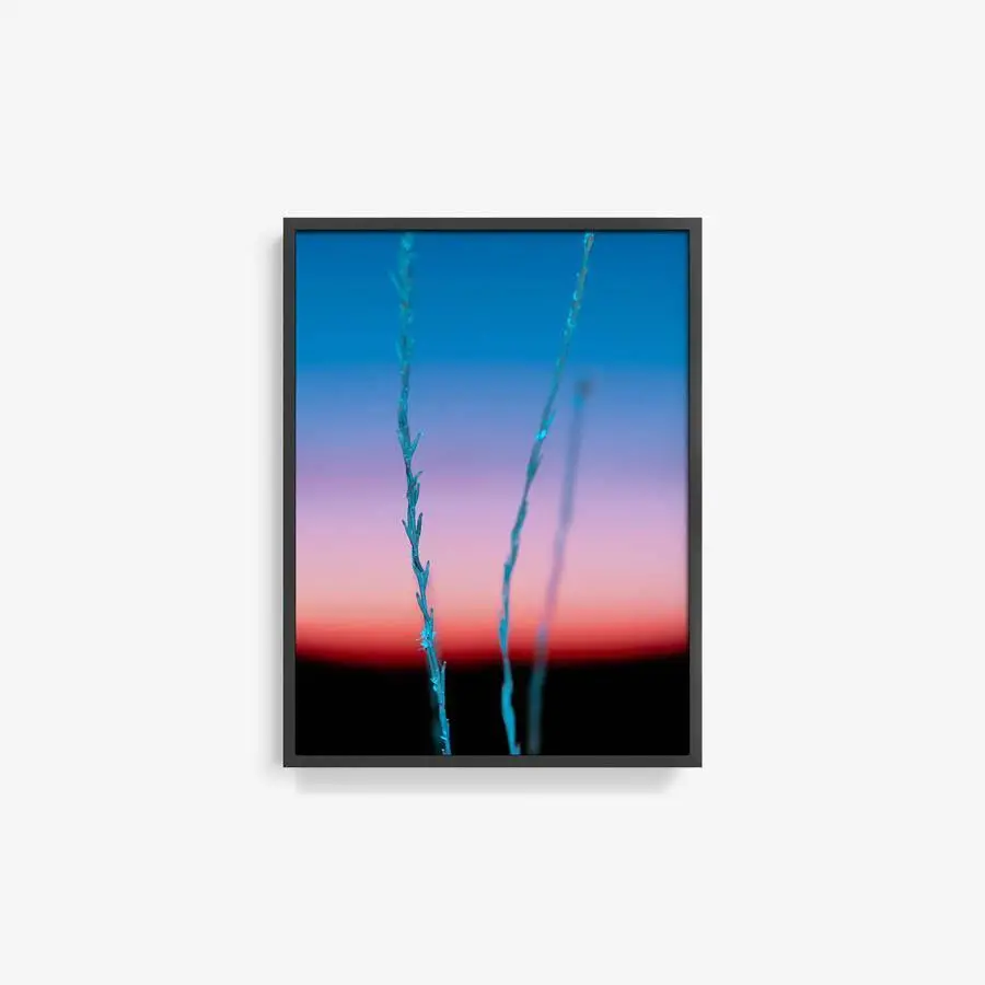 Untitled (Ojai 2) 12