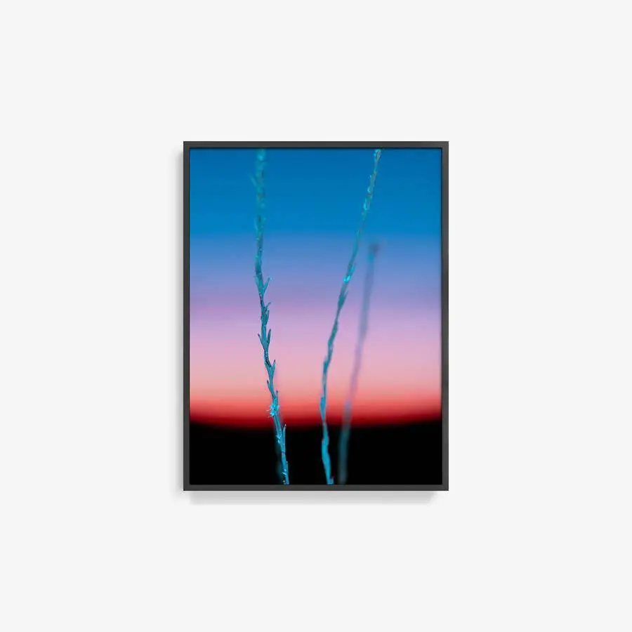 Untitled (Ojai 2) 18