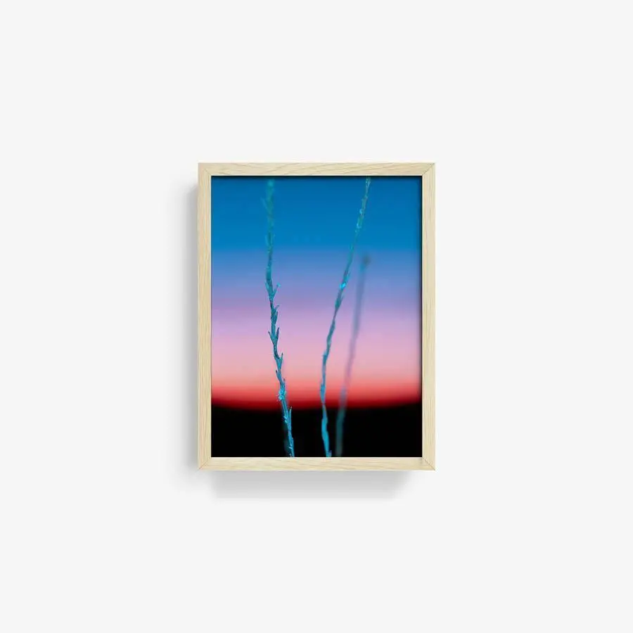 Untitled (Ojai 2) 10