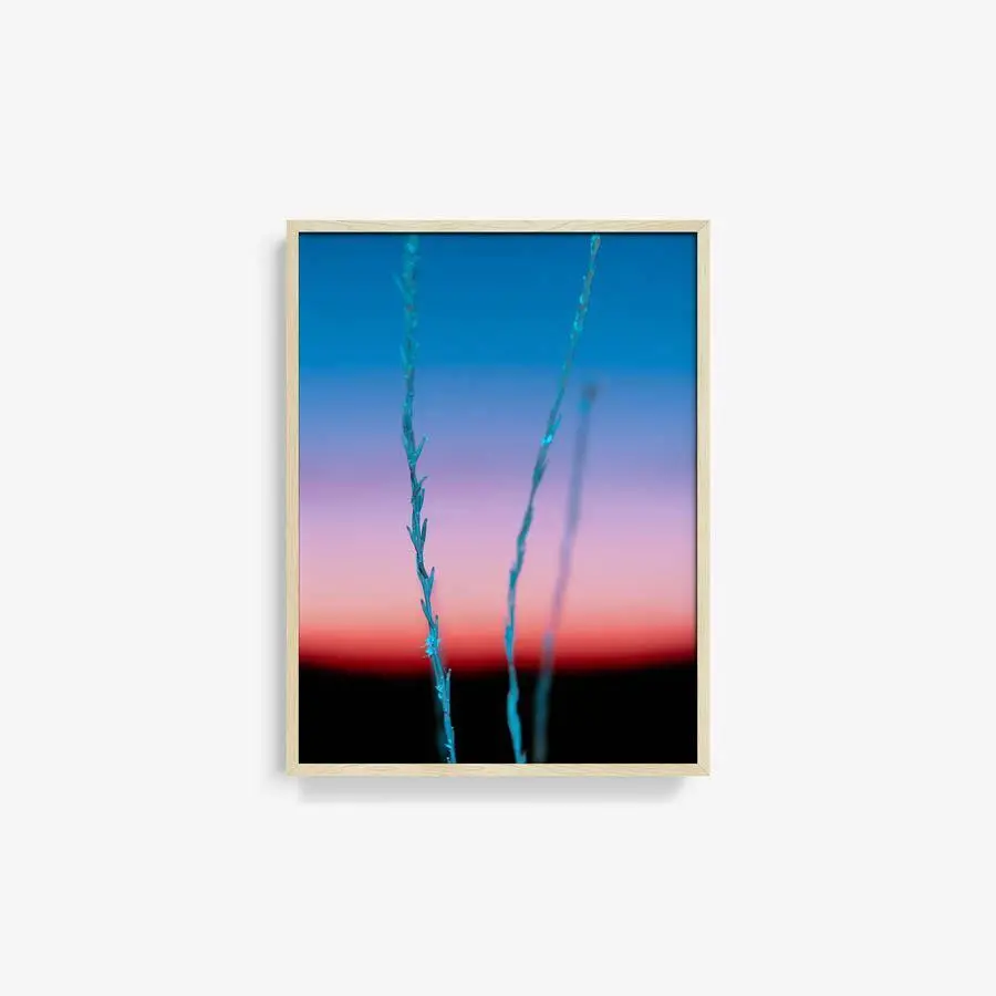 Untitled (Ojai 2) 16