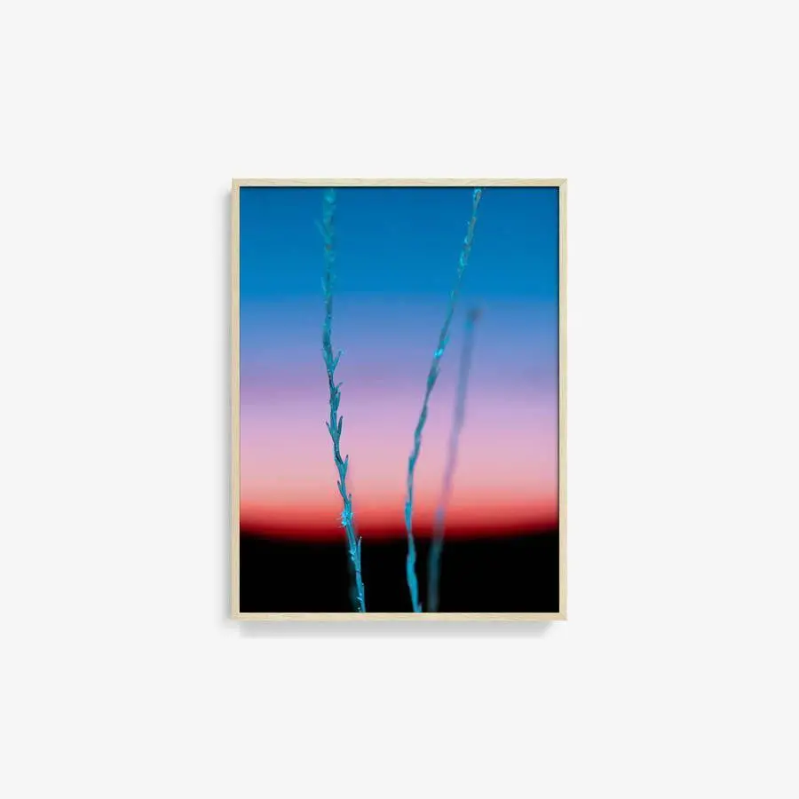 Untitled (Ojai 2) 21