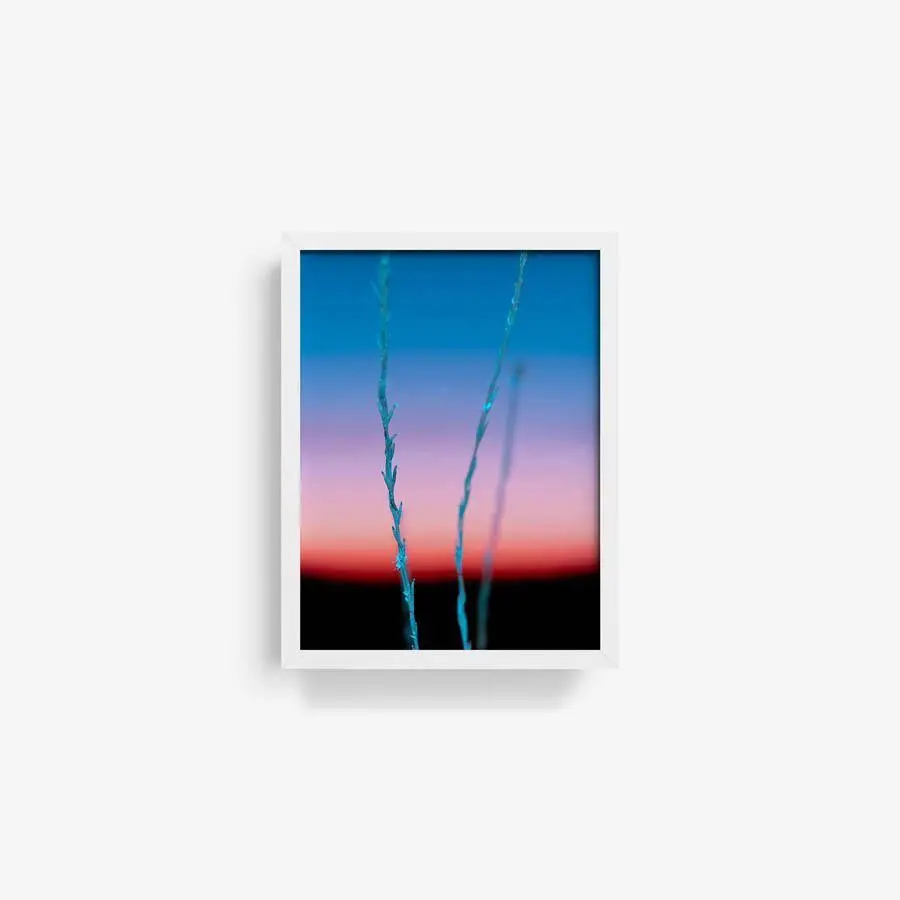 Untitled (Ojai 2) 8