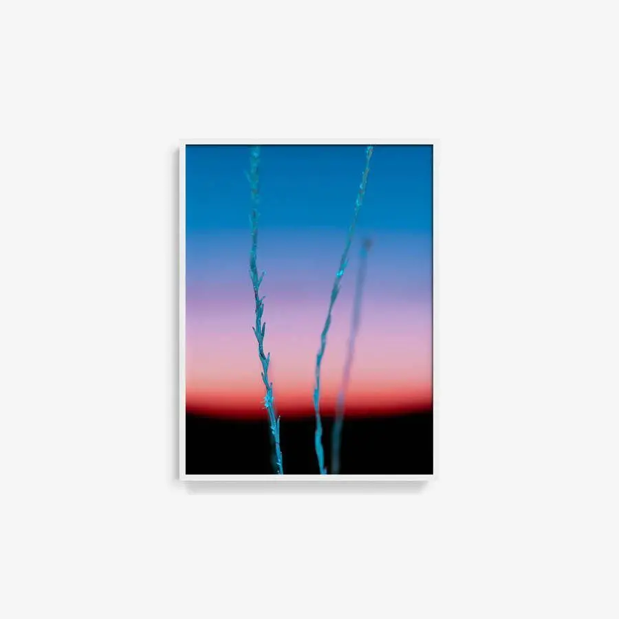 Untitled (Ojai 2) 19