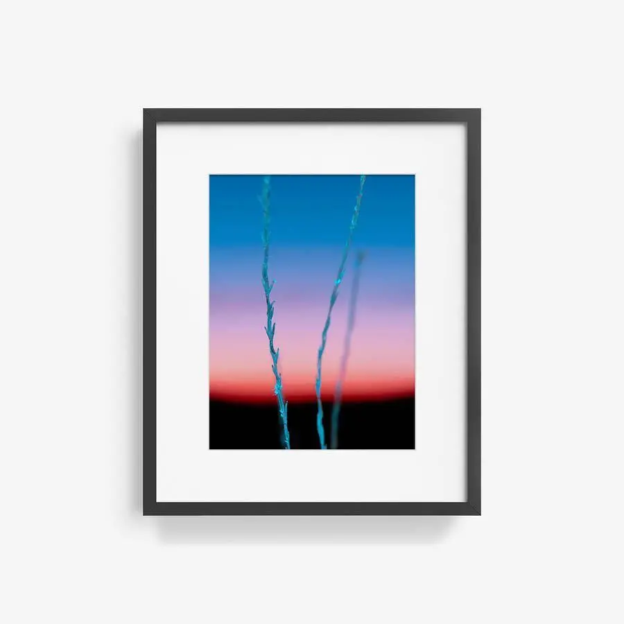 Untitled (Ojai 2) 5