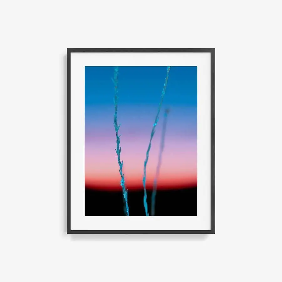 Untitled (Ojai 2) 11