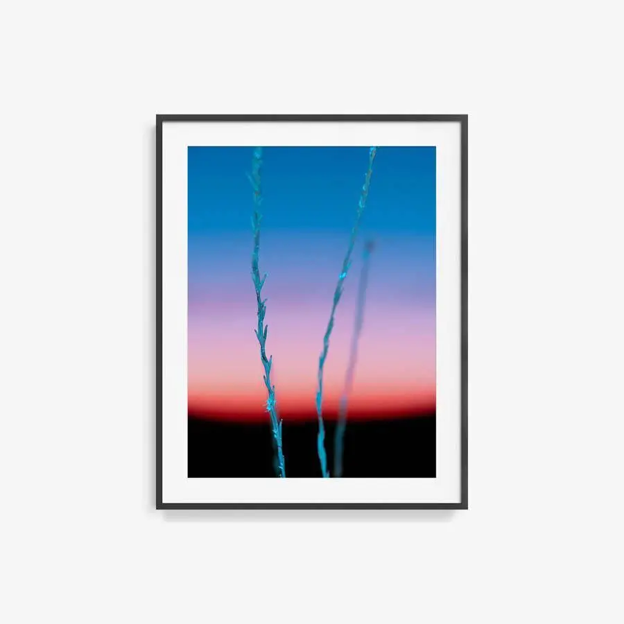 Untitled (Ojai 2) 17