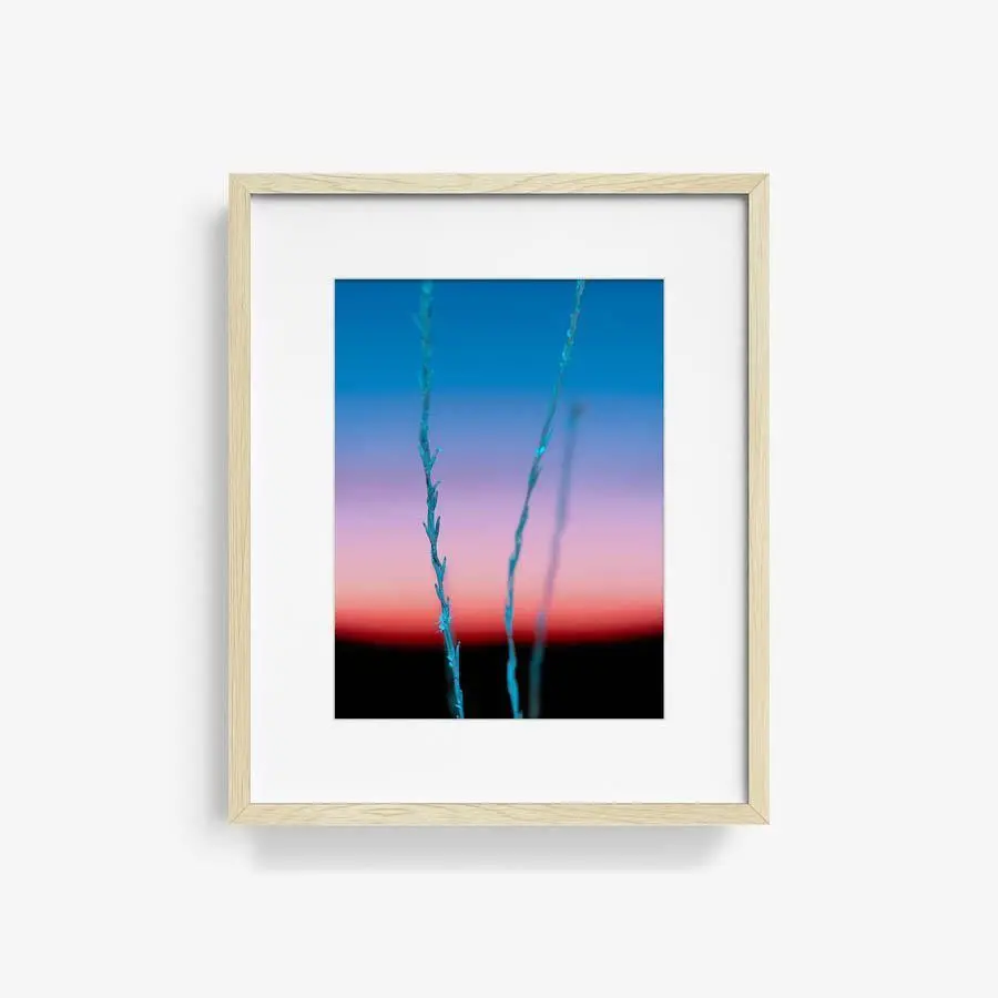Untitled (Ojai 2) 9