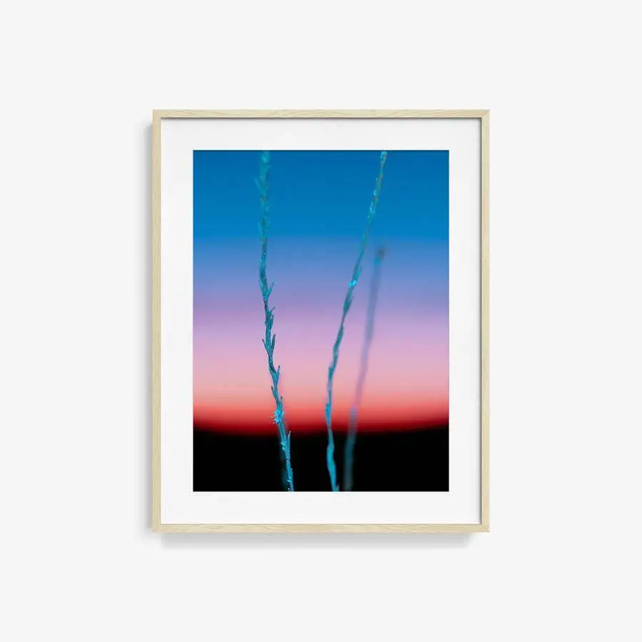 Untitled (Ojai 2) 15