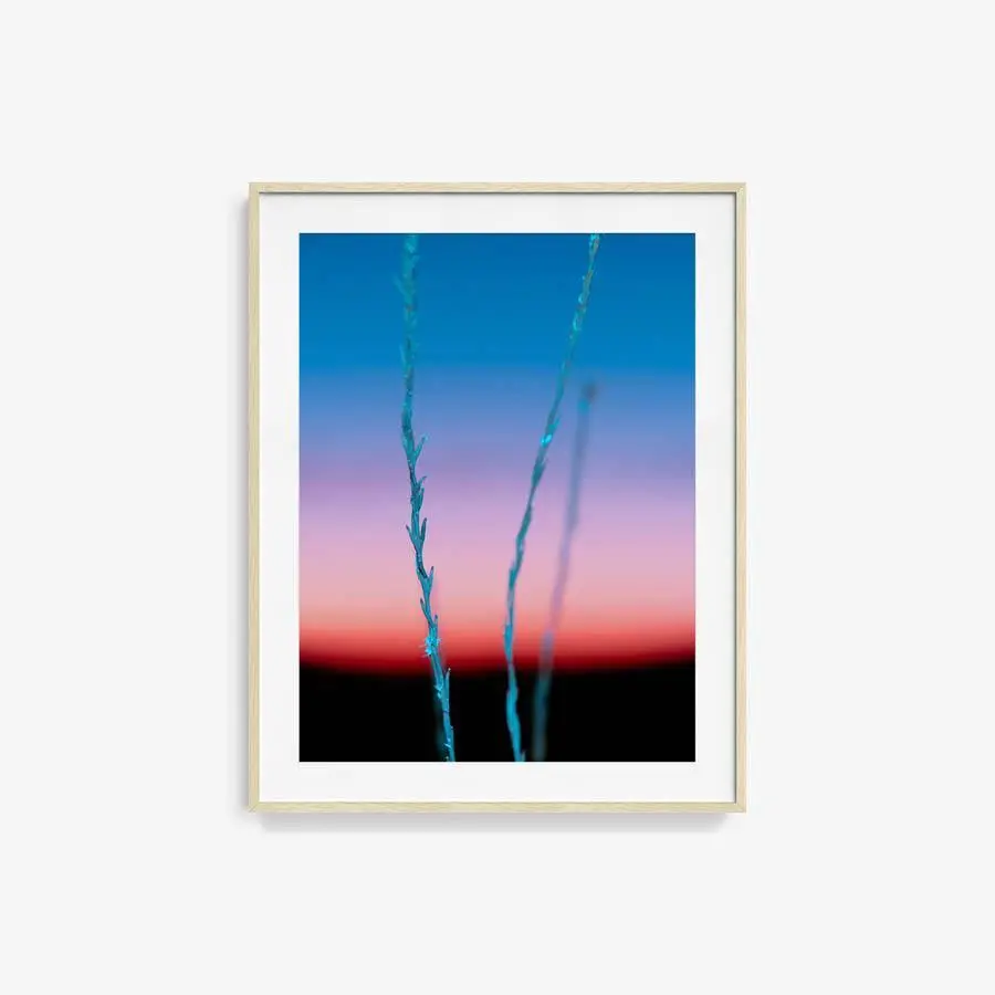 Untitled (Ojai 2) 20