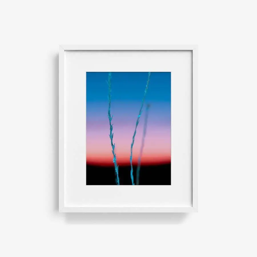 Untitled (Ojai 2) 7
