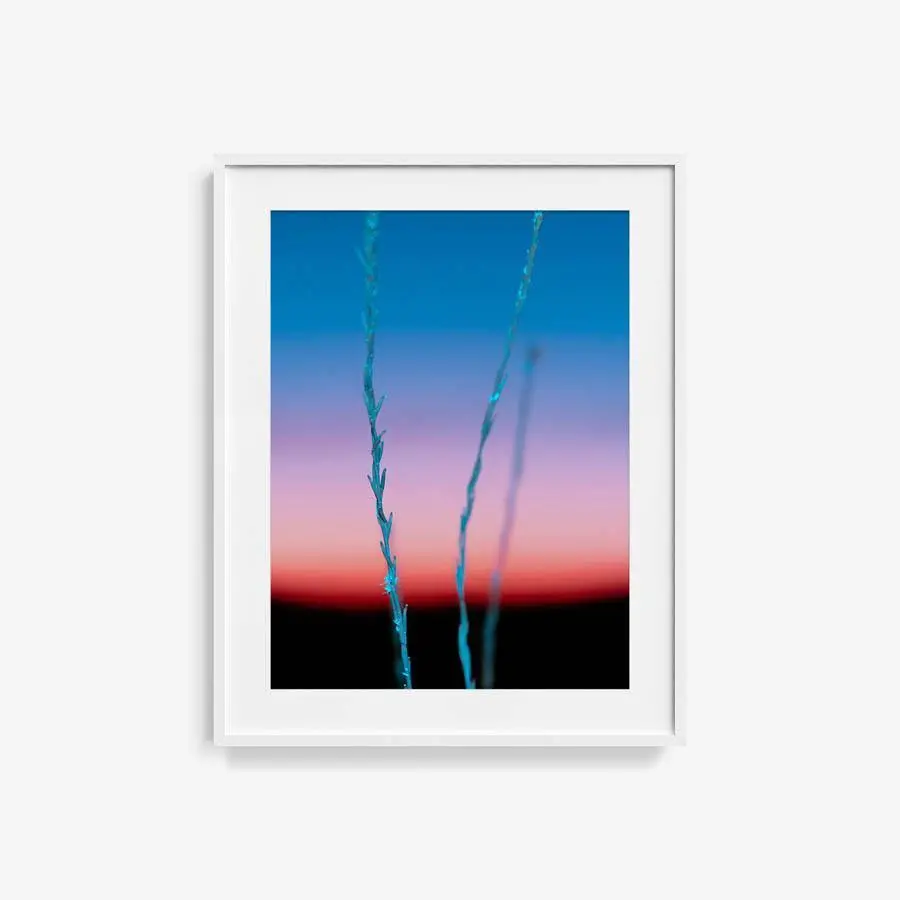 Untitled (Ojai 2) 13