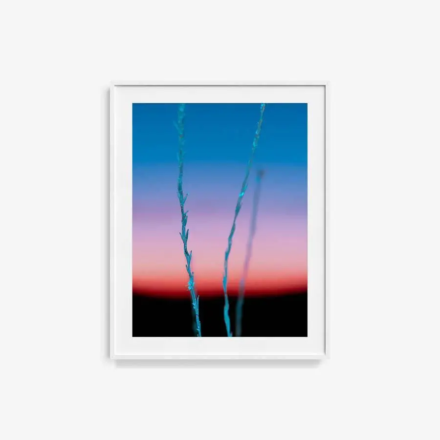 Untitled (Ojai 2) 18