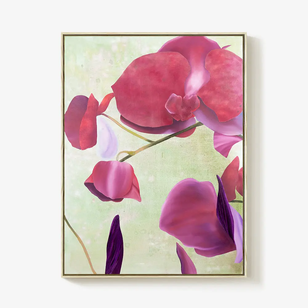 Oﬀering Orchids Flowers 1